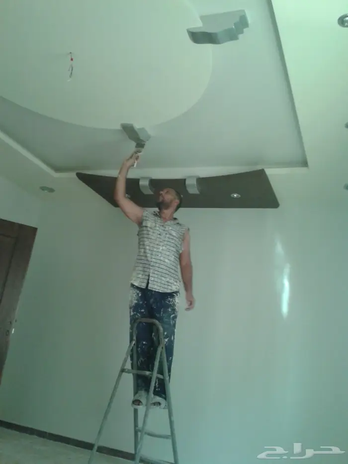 بويات ودهان محترف 1