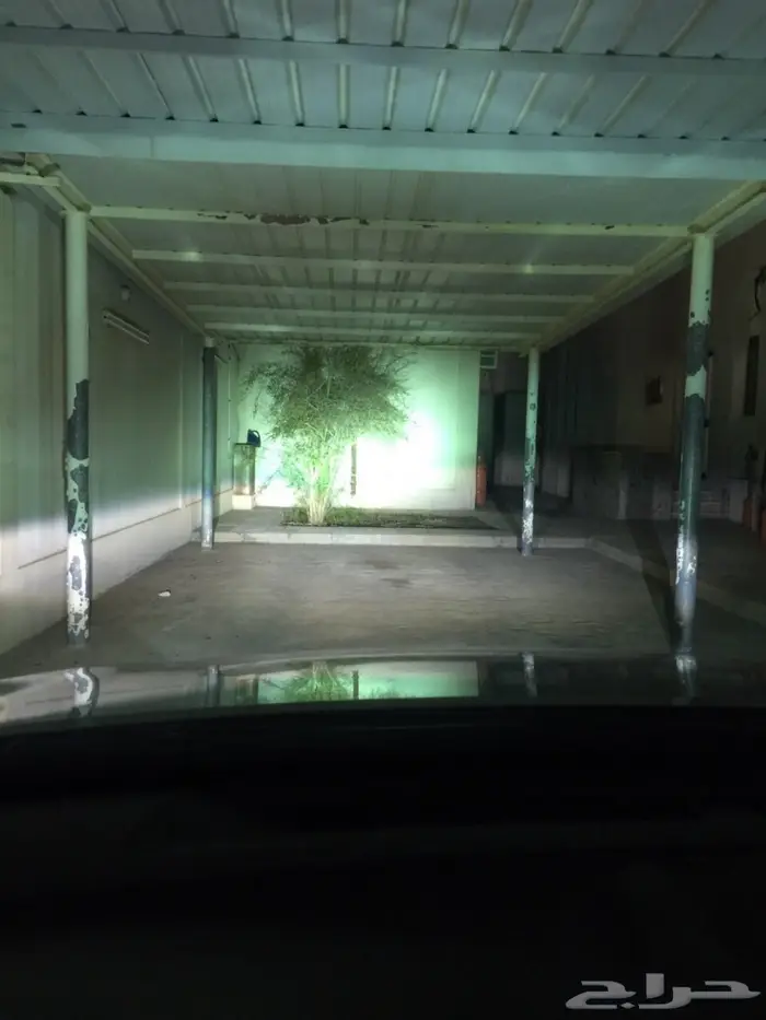 زنون الشازرام على اوريون 2015 5