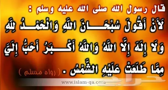 تظليل متحرك روعه جدا (ستائر) لجميع انواع السيارات  كما يوجد لدينا قطع غيار واكسسوارات للاكسبدشن والا 36