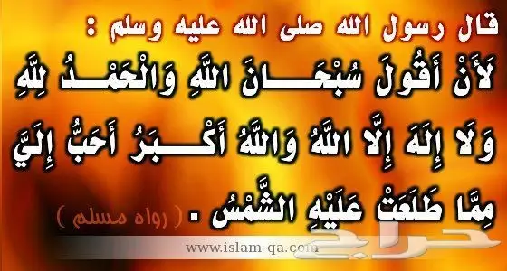  قطع غيار يوكن تاهو سباربان اكسبدشن واكسبلور سيرا وسلفرادو افلانش ابلاندر تورس ايدج لنكولن كليزر نشا 13