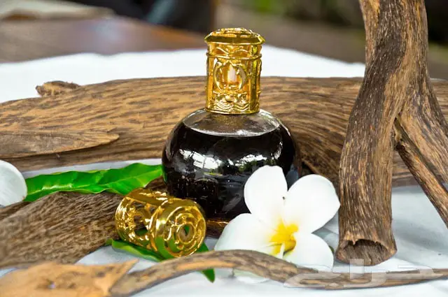 تراب العود التايلندي والعود اللاوسي 1