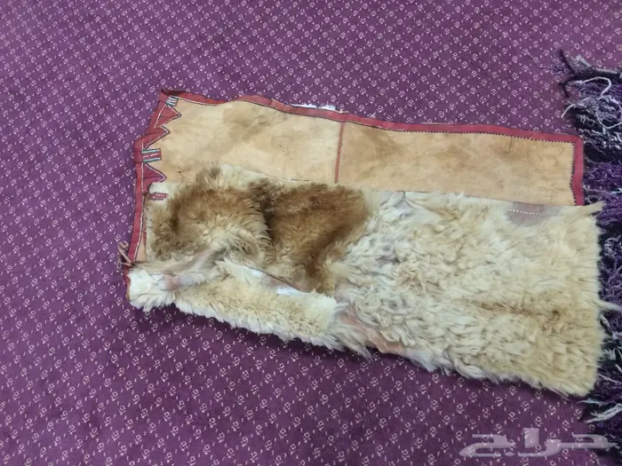 متحف تراثي كامل نادر للبيع اكثر من 255 قطعه 35