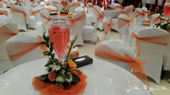 (( ضيافة الروينا )) لتجهيز الأفراااح 8