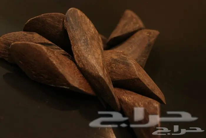 لاوسي ماليزي بورمي فيتنامي تراد صيني 17