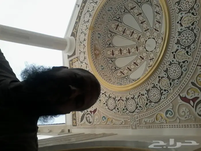بويات ودهان محترف 26