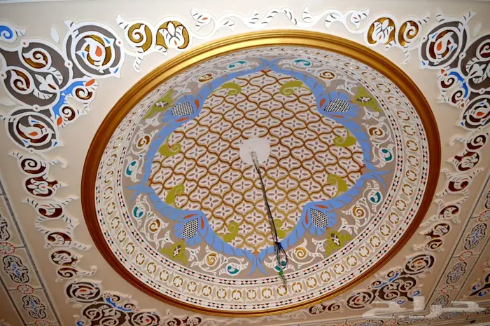 بويات ودهان محترف 30
