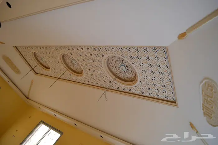 بويات ودهان محترف 35