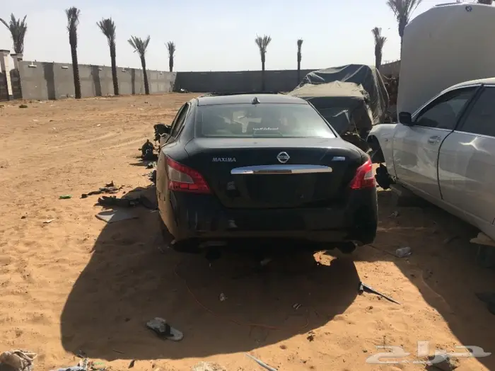 تشليح مكسيما 2011 كواريس 2014 جاكور 2014 4