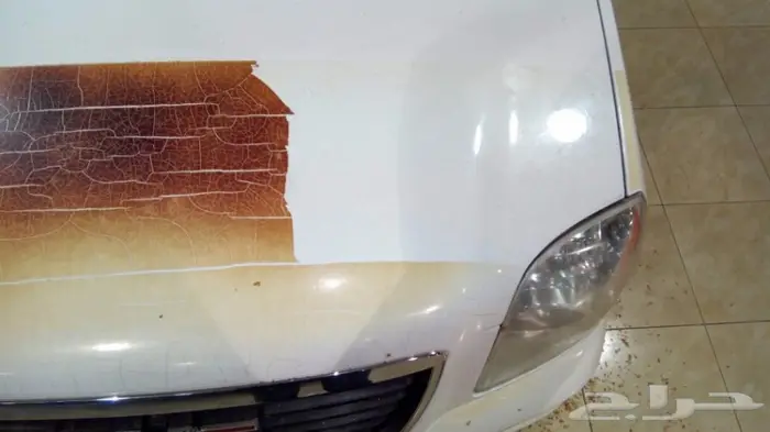 مركز رواد التلميع 5