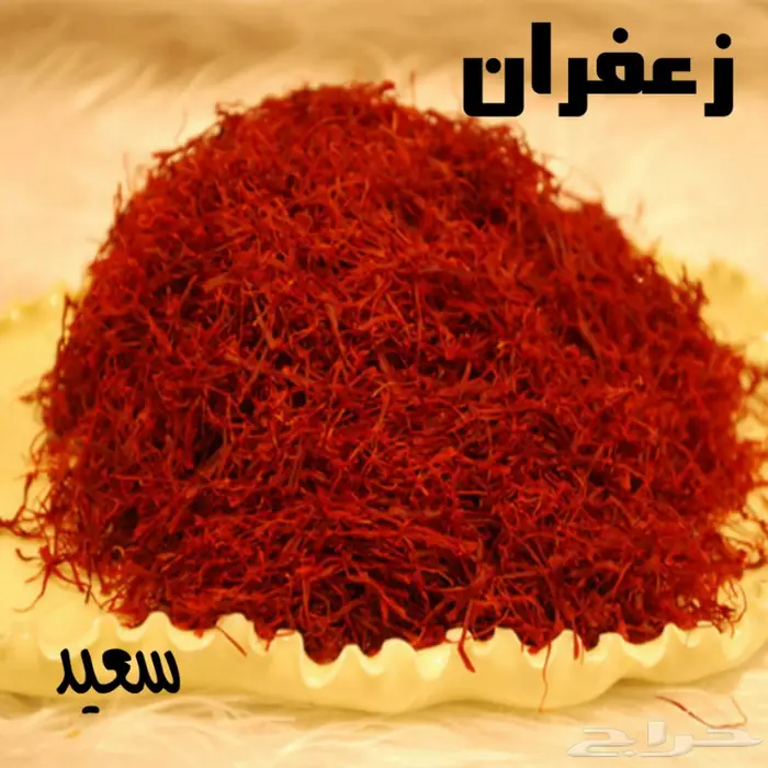 رابغ خفجي.رس.خرج.بريدة.مجمعةعود ومسك 2