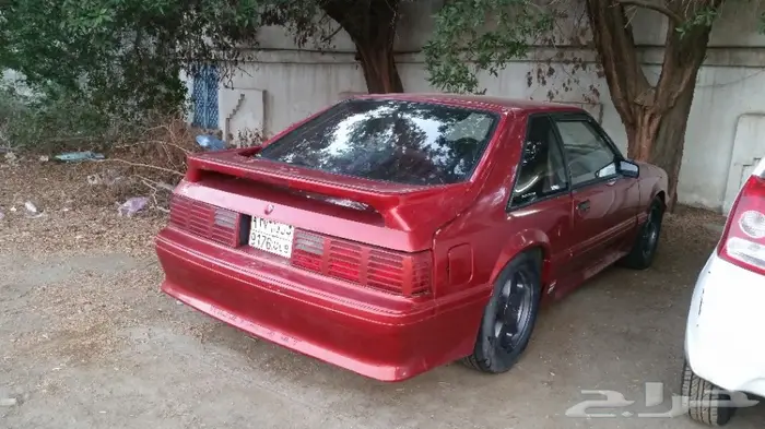 موستنج 1989 للبيع( ليس تراث) 1