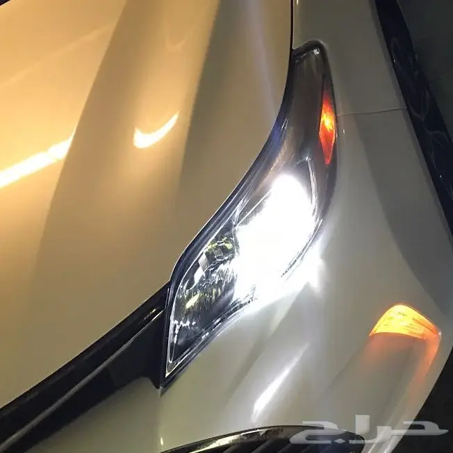 زنون شازرام على واطي افالون 2017 0