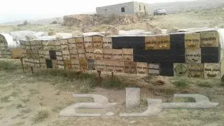 عسل سلام  وسدر من جيزان مضمون  31