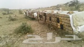 عسل سلام  وسدر من جيزان مضمون  32