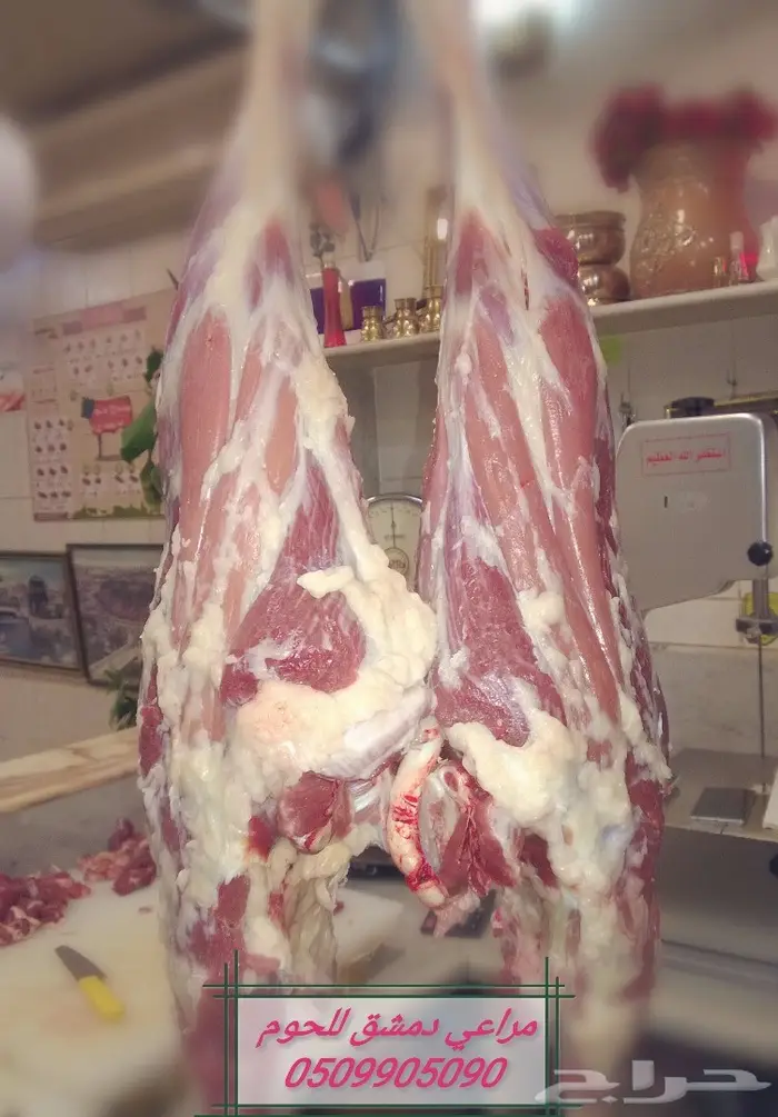 شوي خارجي الرياض 5