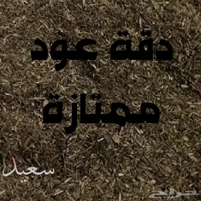 مسك جملة ع الشرط والعود.. index