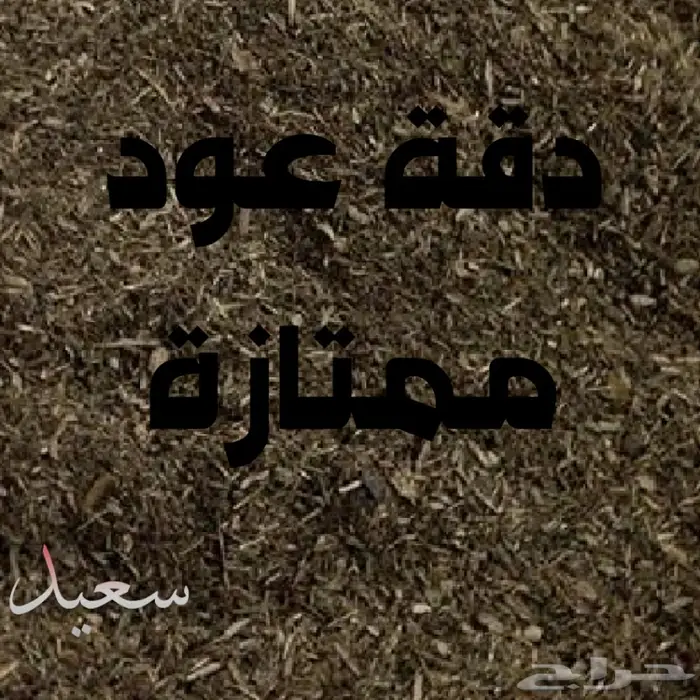 مسك جملة ع الشرط والعود.. 1
