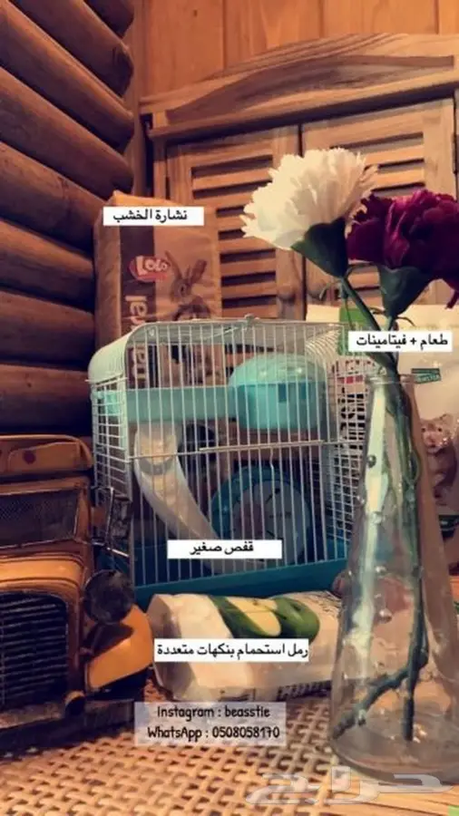 هامسترات Beasstie متوفر تمارا 8
