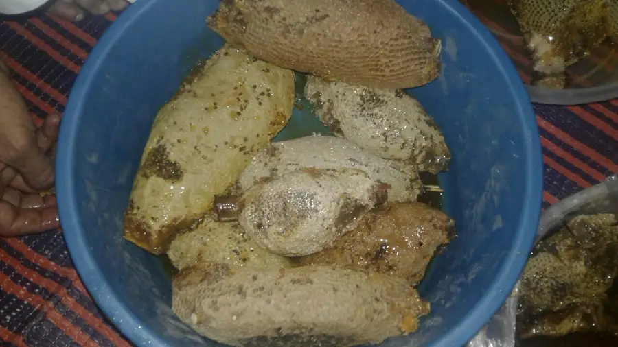 عسل  وشمع بلدي جنوبي مشرووط  (image 6)