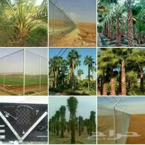 تركيب شبكات النخيل وتوريدها - أسعار مميزة! (image 8)