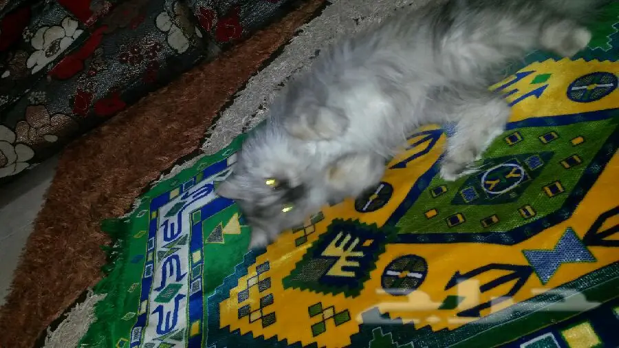 فرصة ذهبية! سيارة ممتازة للبيع (image 2)