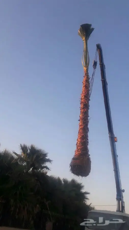 إعلانات عقارية في حي راضي الزراعيه - واشنطونيا (image 1)