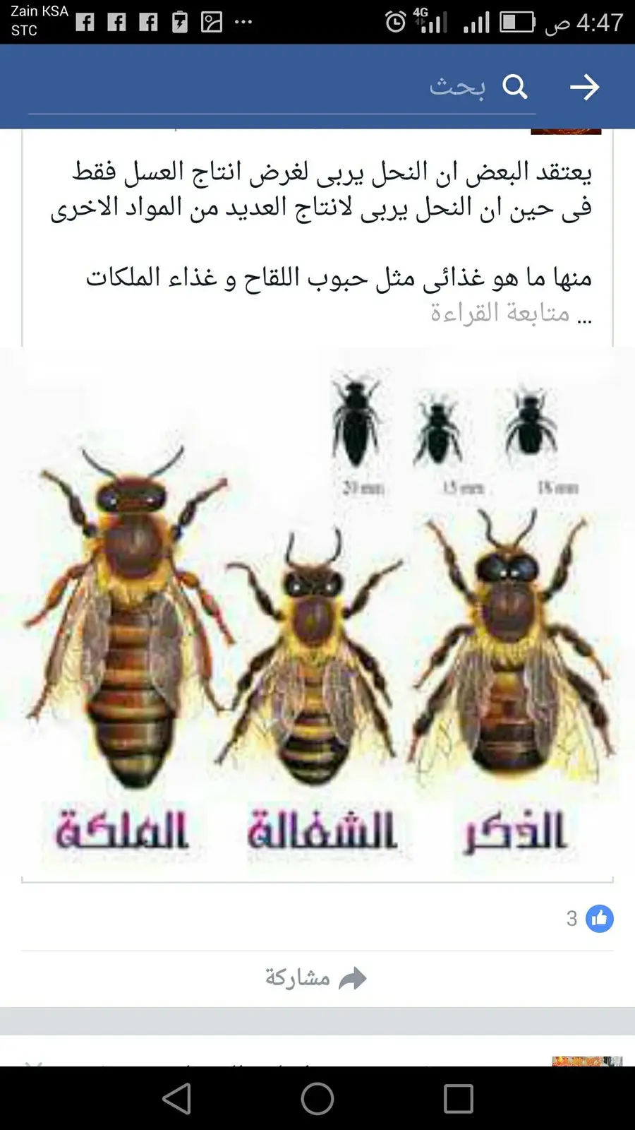 خلطة البركة: عزّز وزنك بثقة الطبيعة! (image 10)