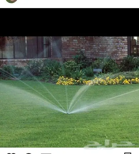 مشاتل تنسيق حدائق - تصميم فلل، قصور، واستراحات فاخرة (image 23)