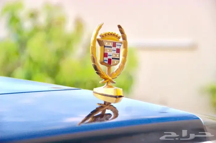 شاهدوا مجموعة سياراتنا الكلاسيكية بالموقع. 0