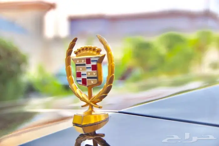 شاهدوا مجموعة سياراتنا الكلاسيكية بالموقع. 1