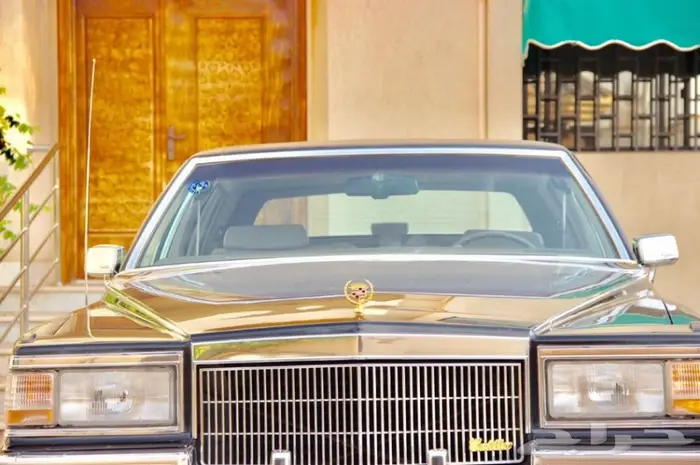 شاهدوا مجموعة سياراتنا الكلاسيكية بالموقع. 10