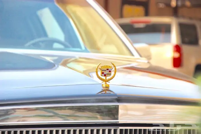 شاهدوا مجموعة سياراتنا الكلاسيكية بالموقع. 12