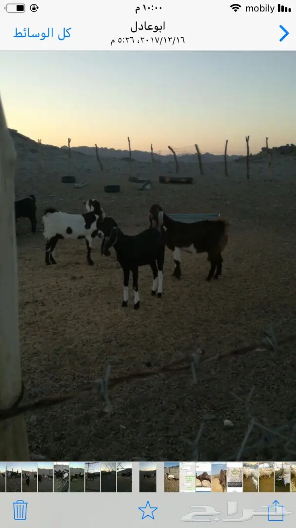 للبيع (image 1)