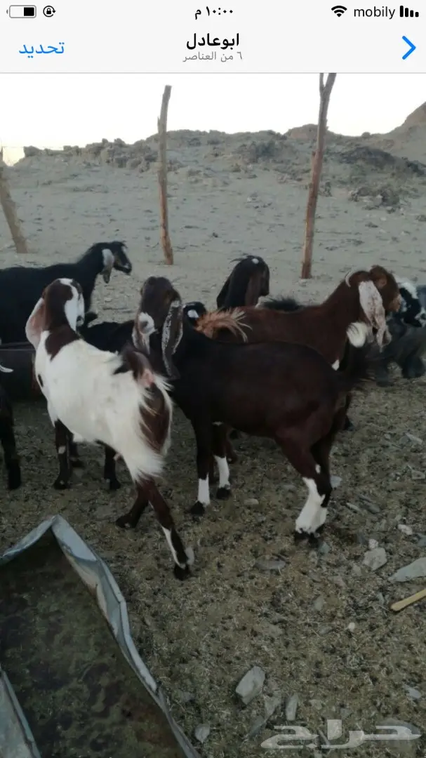 للبيع (image 3)