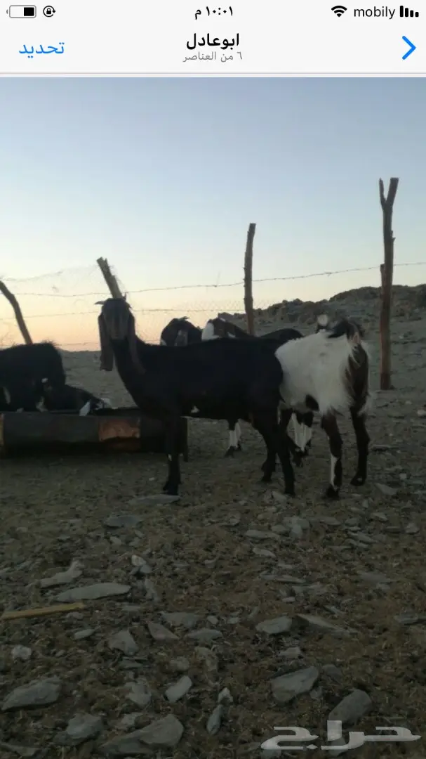 للبيع (image 5)