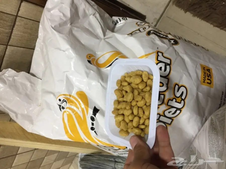 زوبريم الامريكي الأصلي (image 1)