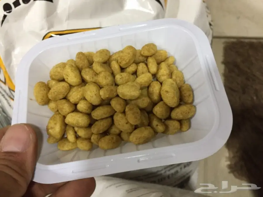 زوبريم الامريكي الأصلي (image 2)