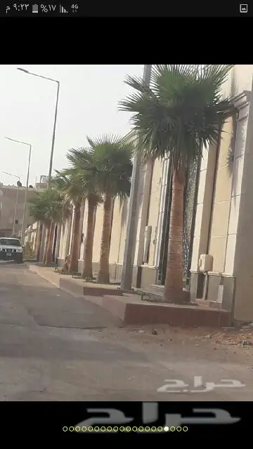 مشتل  البستان لتنسيق الحدائق  (image 74)