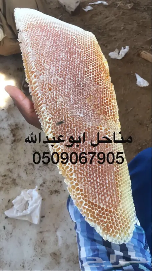 يوجد لدي أجواد انواع عسل السدر  (image 3)