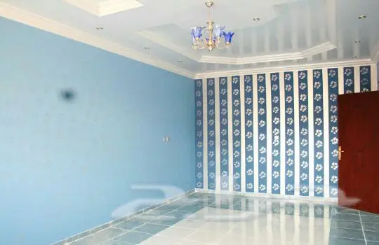 دهانات ديكورات الترميم (image 1)