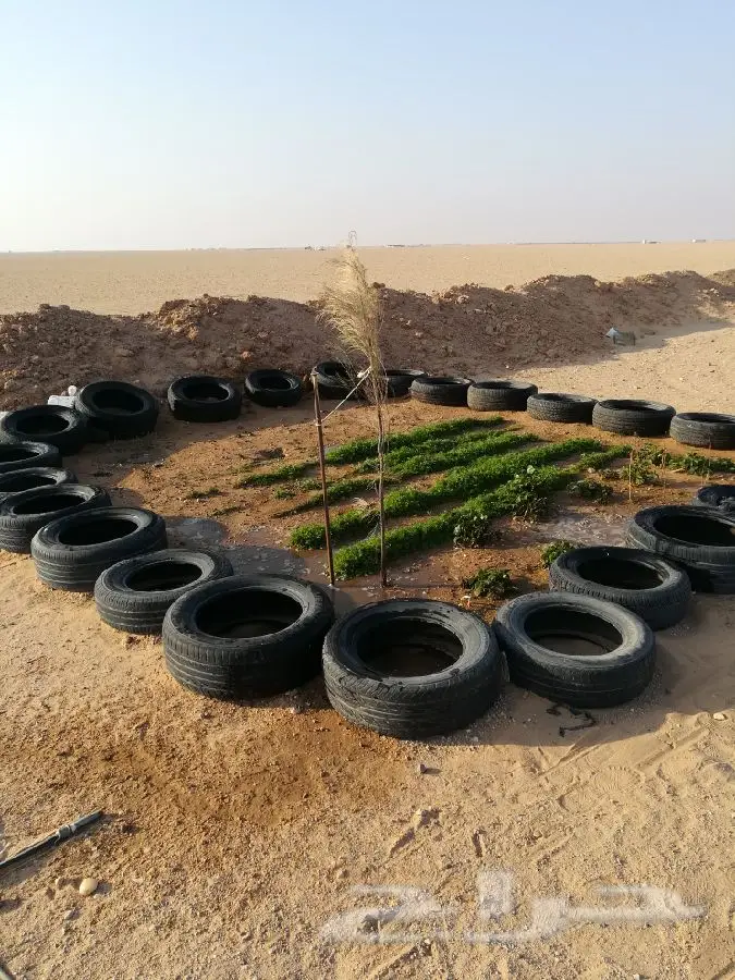 مخيم عائلي للبيع (image 15)