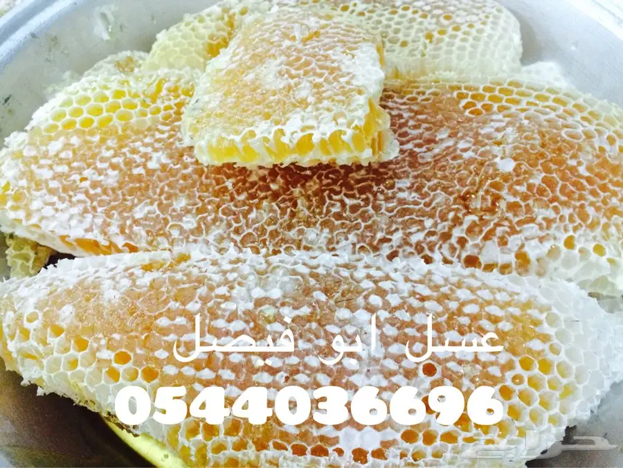 عسل من مناحلي مضمون لمن يريد الجوده (image 1)