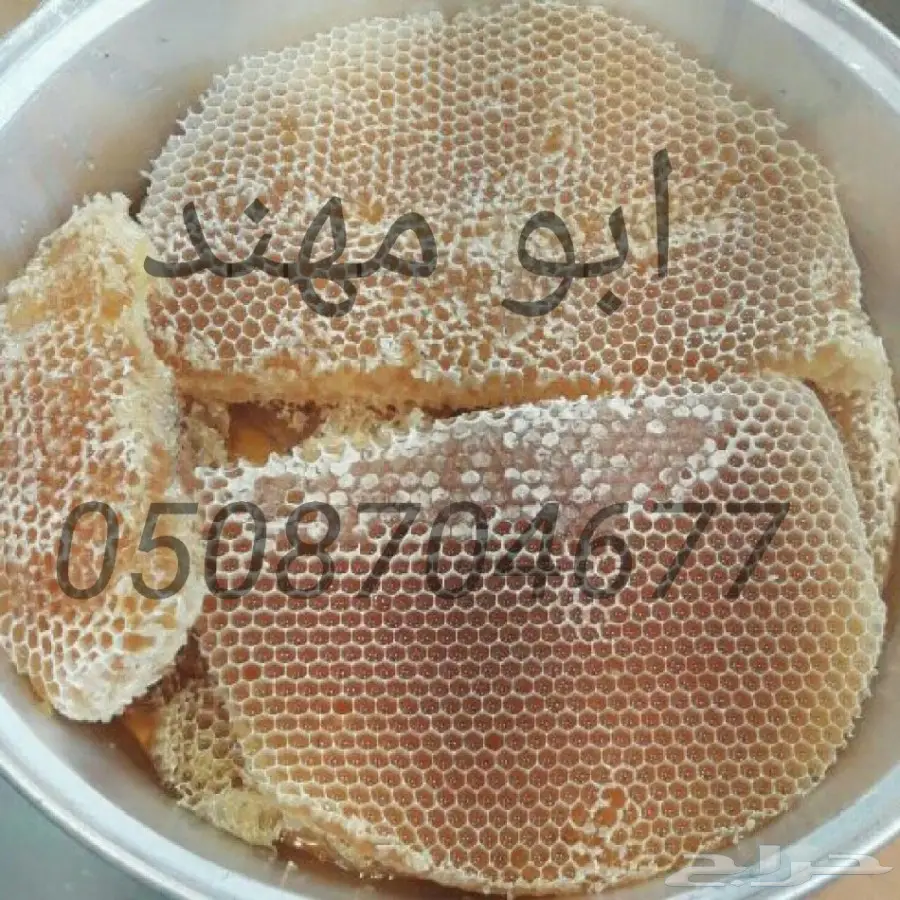 عسل سدر سمر مجرى خلطة المتزوجين بأسعار مناسبة (image 13)