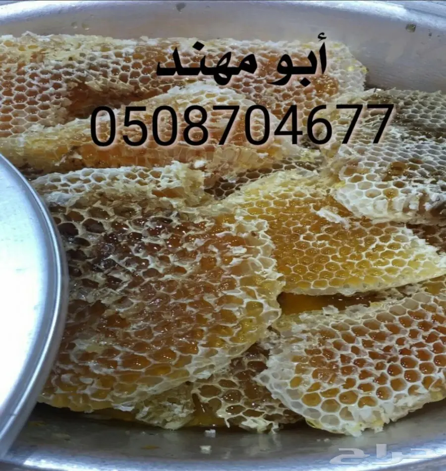 عسل سدر سمر مجرى خلطة المتزوجين بأسعار مناسبة (image 16)