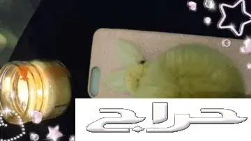 كفرات ايفون 6بلس و7 و7بلس  (image 9)