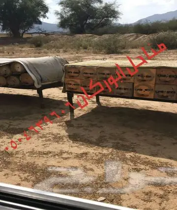 عسل سدراصلي عشرين الف اذا اتضح عليه تغذيه (image 2)