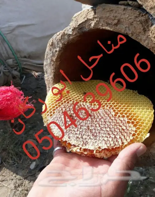 عسل سدراصلي عشرين الف اذا اتضح عليه تغذيه (image 6)