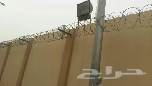 اخوعبدارحمان للمقاولات النخيل العربي واشنطن و (image 11)