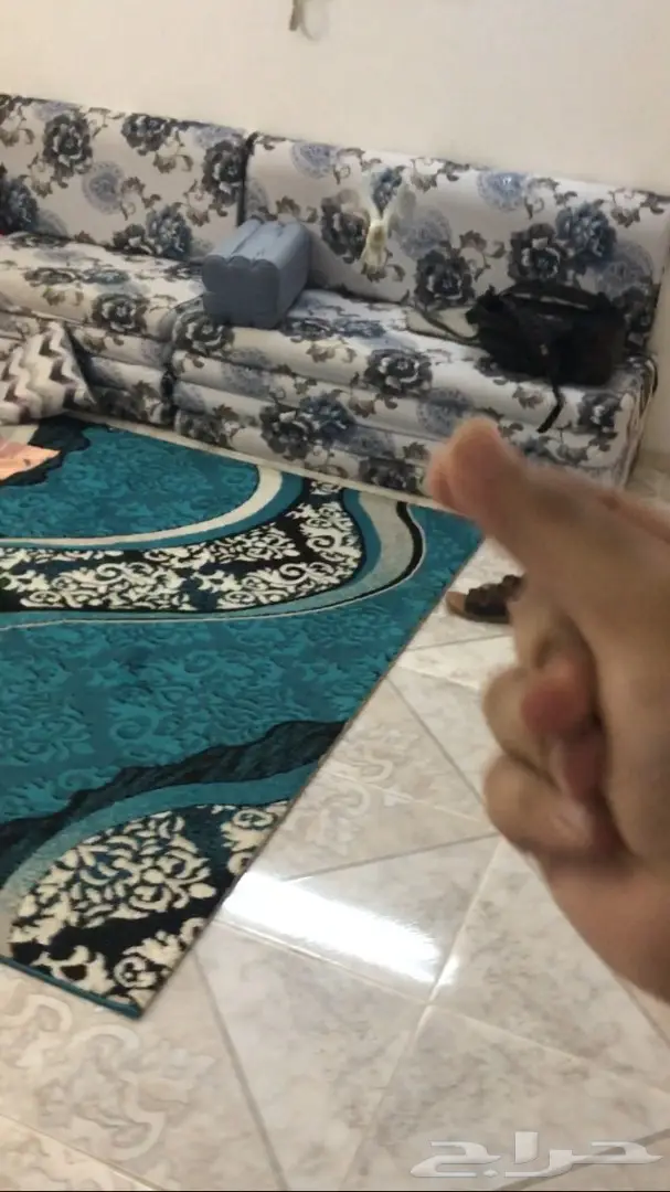 كروان البينو