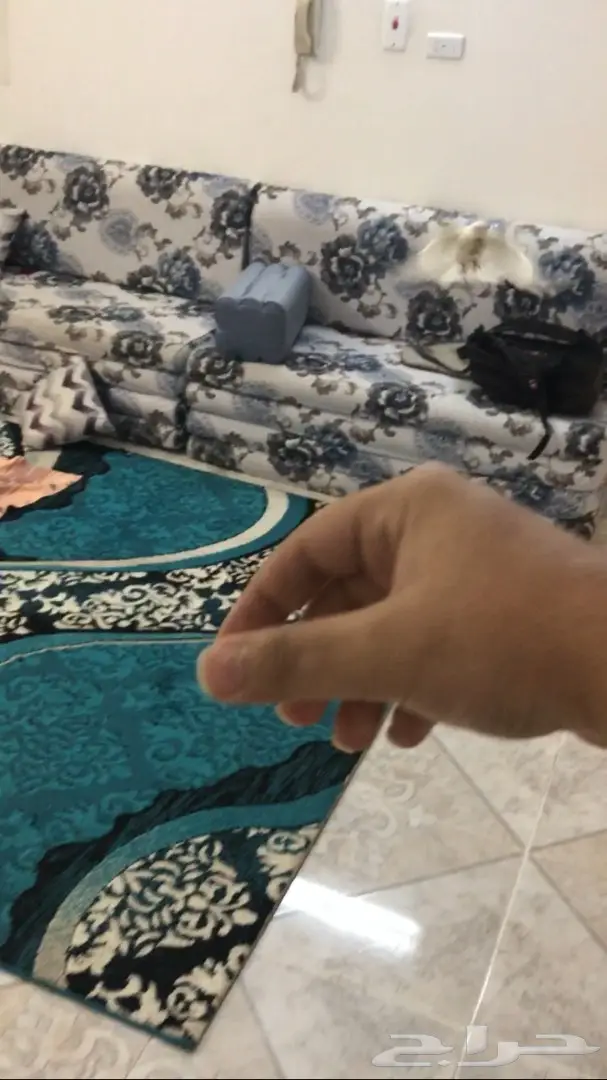 كروان البينو (image 1)